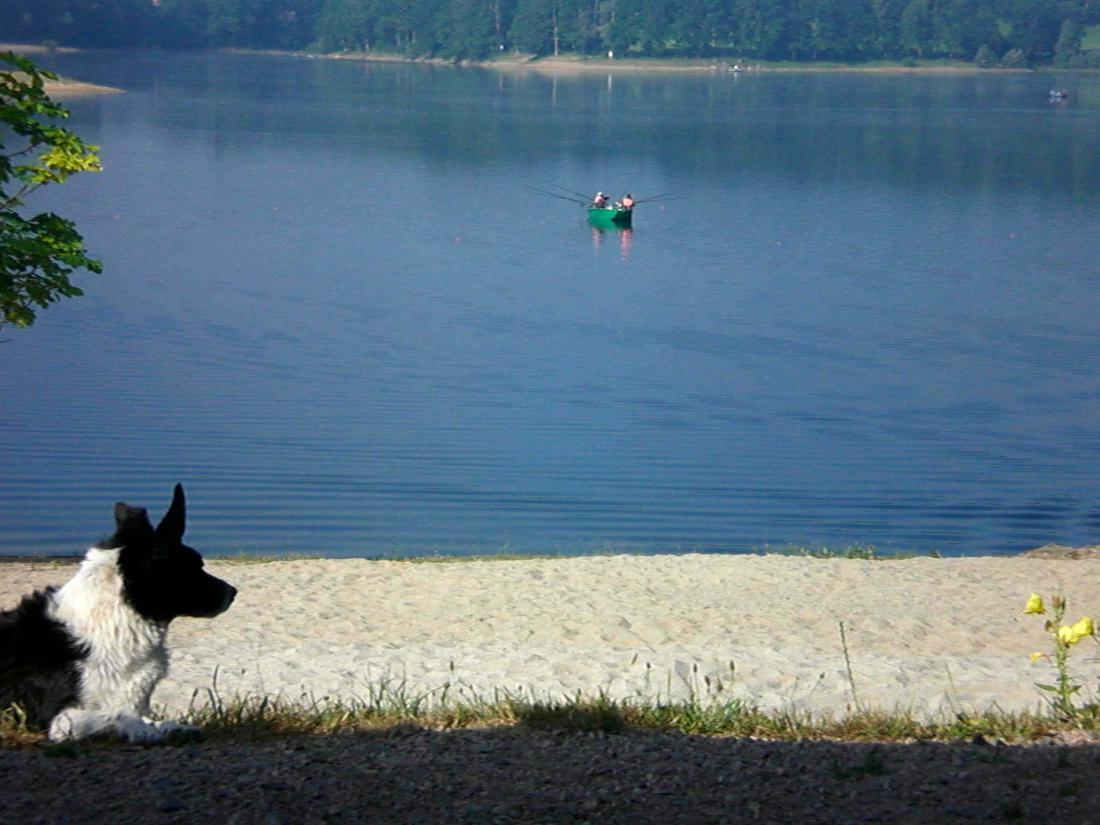 vue du lac de st etienne cantales du camping du domaine du lac accés directe au lac